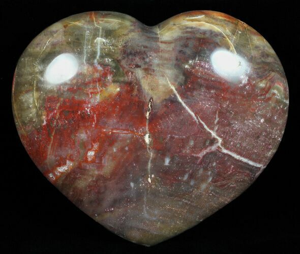 Colorful, Polished Petrified Wood Heart - Triassic #58534